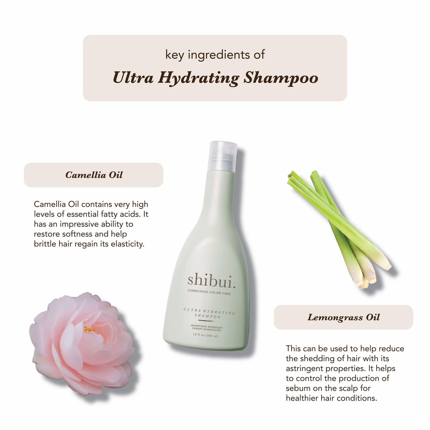 SHIBUI Ultra Hydrating Shampoo — Moisture-Rich Color Protection for Medium to Textured Hair