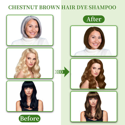 SHIHUANUO Hair Dye Shampoo 3 in 1 Chestnut Brown – Ammonia-Free 520ml