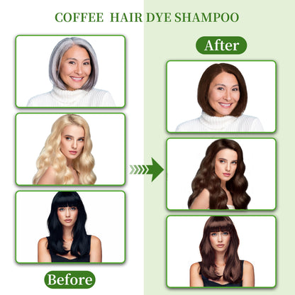 SHIHUANUO Hair Dye Shampoo 3-in-1 for Gray Hair Coverage – Ammonia-Free 520ml (Coffee)