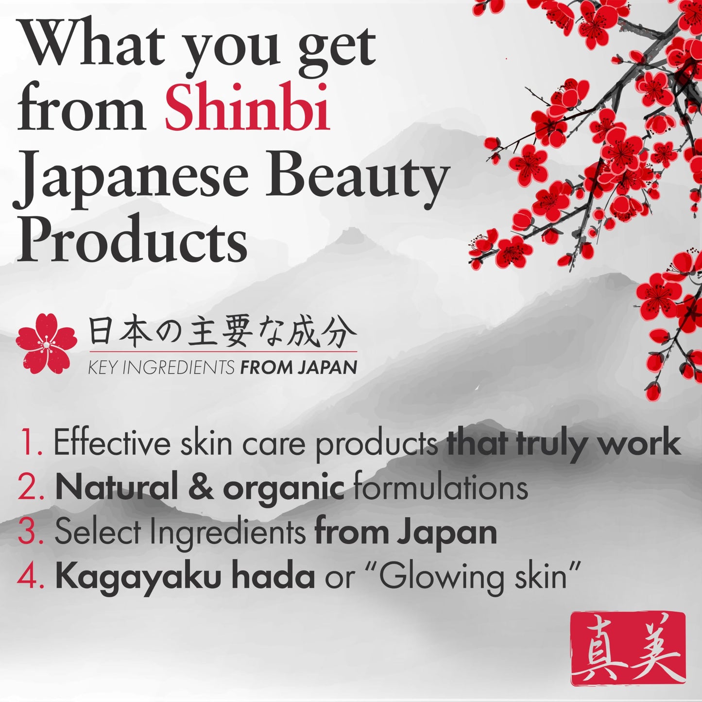 Shinbi Beauty Japanese Vitamin C Serum with Rice Water + Hyaluronic Acid – Glow & Hydration (1 oz)