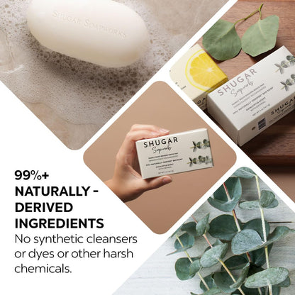Shugar Soapworks Oatmeal & Eucalyptus Beauty Bar – 8-Pack, 5 oz Each | Plant-Based, Gentle Cleanser