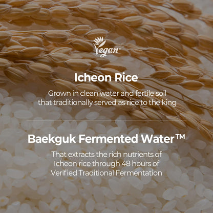SKINFOOD 1957 Rice Daily Sheet Mask – Hydrating & Nourishing Vegan Korean Skincare