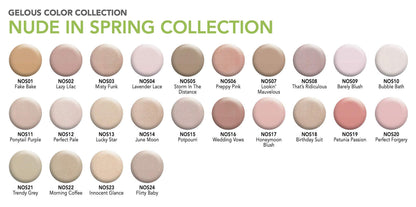 SNS Nails Dipping Powder - Nude in Spring Collection NOS11 (1 oz)