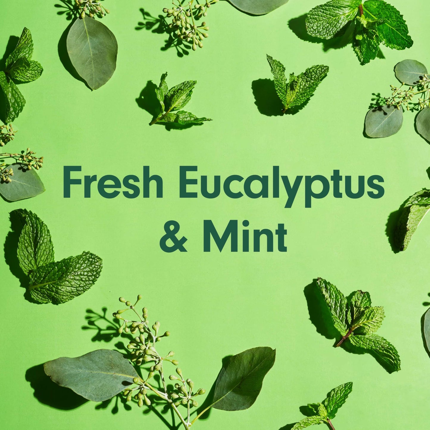 Softsoap Eucalyptus & Mint Body Wash – Moisturizing 4-Pack, 20 oz each