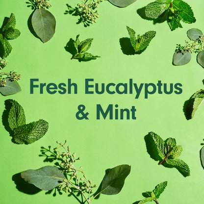 Softsoap Eucalyptus & Mint Body Wash – Moisturizing 4-Pack, 20 oz each