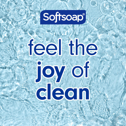 Softsoap Eucalyptus & Mint Body Wash – Moisturizing 4-Pack, 20 oz each