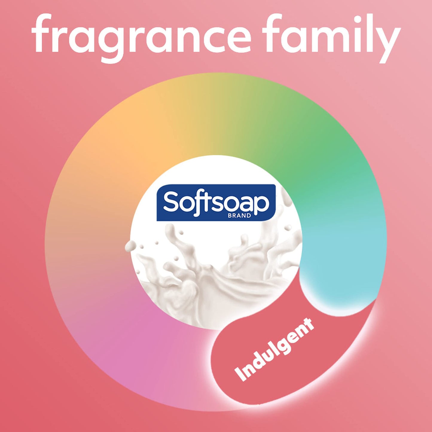 Softsoap Moisturizing Body Wash with Shea & Almond Oil – 20 fl oz (4 Pack)