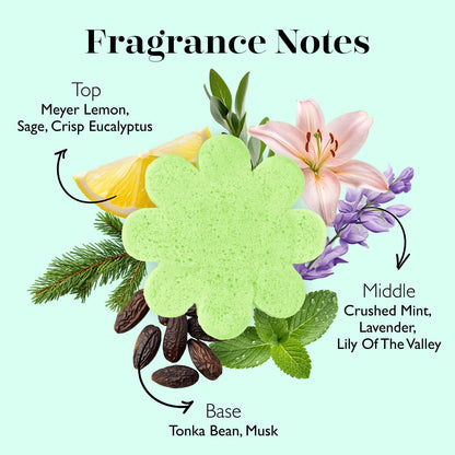 Spongellé Eucalyptus Mint Eco Body Buffer – Biodegradable, Vegan, Dermatologist-Tested, Made in USA