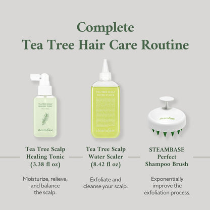 STEAMBASE Tea Tree Scalp Healing Tonic | Hydrating, Soothing Scalp Spray | 3.38 fl oz