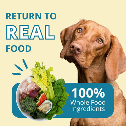 Steve's Real Food Freeze-Dried Raw Nuggets – Turkey Recipe, 20 oz, for Dogs & Cats