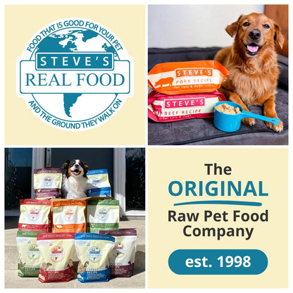 Steve's Real Food Freeze-Dried Raw Nuggets – Turkey Recipe, 20 oz, for Dogs & Cats