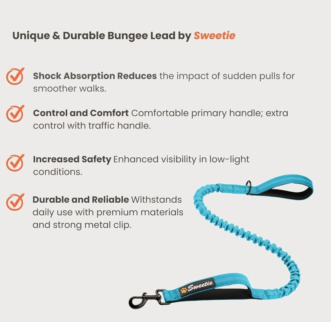 Sweetie Bungee Dog Lead - Shock Absorbing