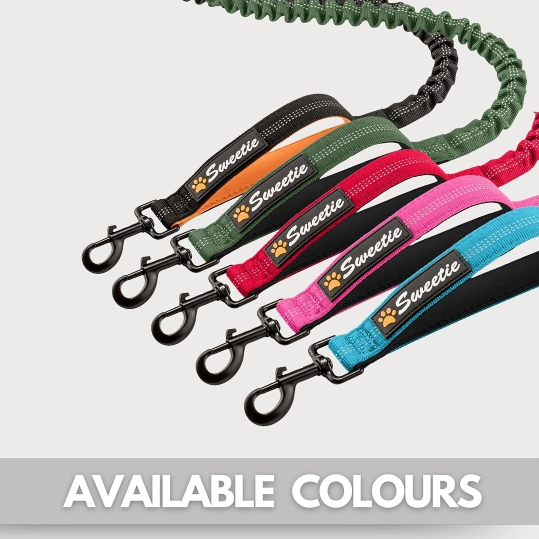 Sweetie Bungee Dog Lead - Shock Absorbing