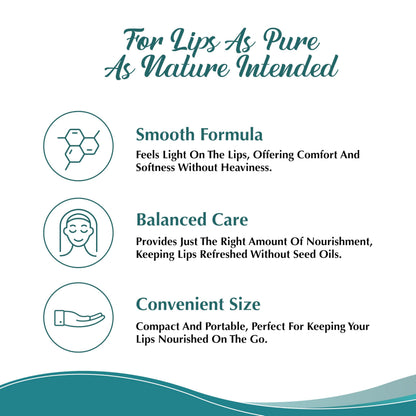 Tallowbourn Moisturizing Tallow Lip Balm – Grass-Fed Tallow, Coconut Oil, Vitamin E – Unscented 3-Pack