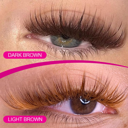 TDANCE Dark Brown Lash Extensions – Premium 0.03/0.05/0.07mm, C/D Curl, 10–17mm (Salon Use)