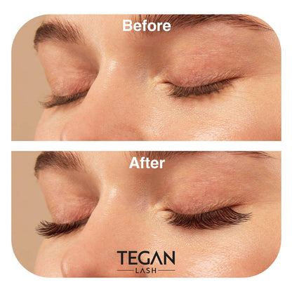 TEGAN LASH 500 Promade Fans Volume Eyelash Extensions — Handmade 3D-16D, C/CC/D Curl, 0.03–0.07 Thickness, 9–15mm
