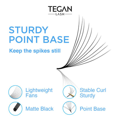 TEGAN LASH 500 Promade Fans Volume Eyelash Extensions — Handmade PBT, 9–15mm, 0.03–0.07, C/CC/D Curl