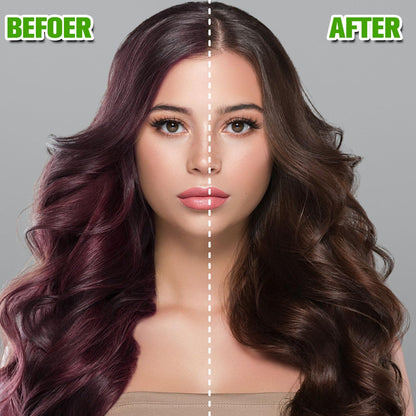 Temgofeau Hair Dye Shampoo for Gray Hair – 3-in-1 Herbal Color, 500ml (Dark Brown)