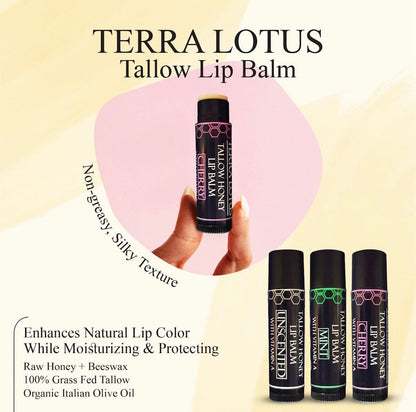 Terra Lotus Organic Tallow Lip Balm (5 Pack) – Cherry | Hydration with Olive Oil & Beeswax