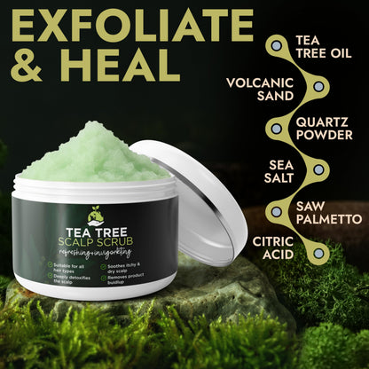 Terramed Tea Tree Scalp Scrub — Gentle Exfoliation for Itchy, Dry Scalp