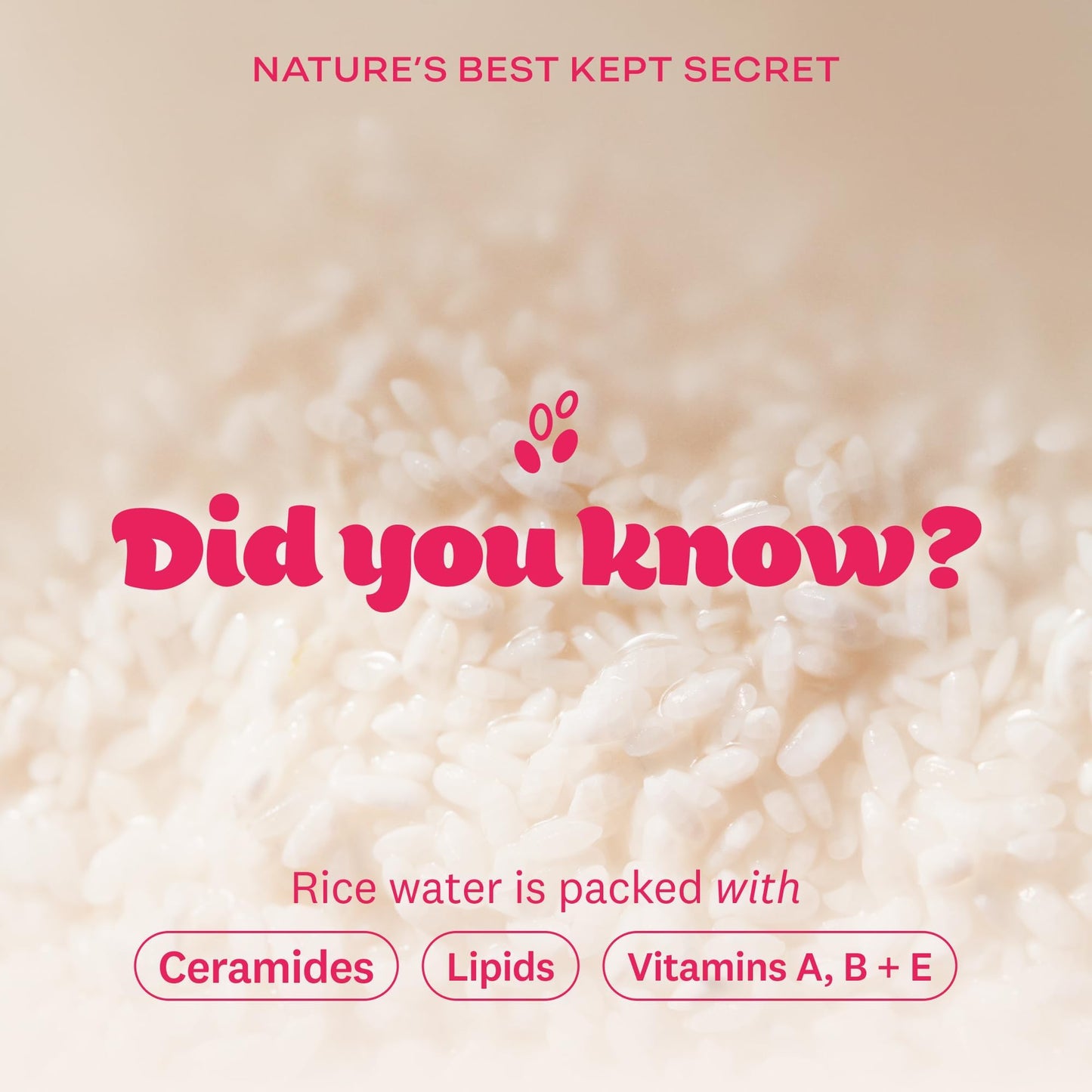 The Face Shop Rice Water Bright Light Facial Cleansing Oil – Vegan Cleanser 150ml
