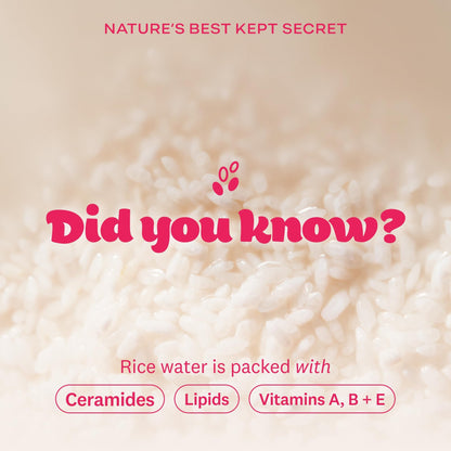 The Face Shop Rice Water Bright Light Facial Cleansing Oil – Vegan Cleanser 150ml
