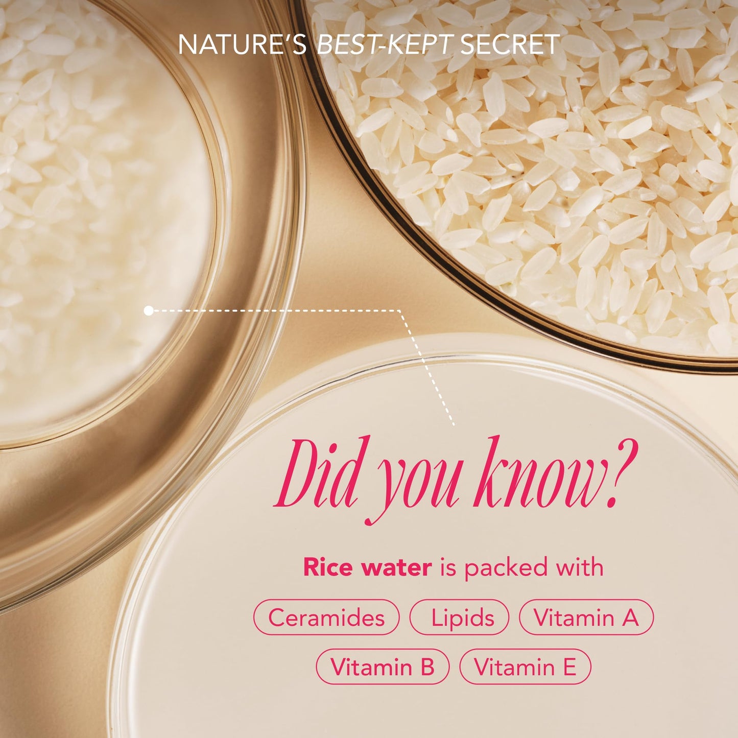 The Face Shop Rice Water Bright Travel Kit – TSA-Approved Korean Skincare Set (Ceramide, Vegan)