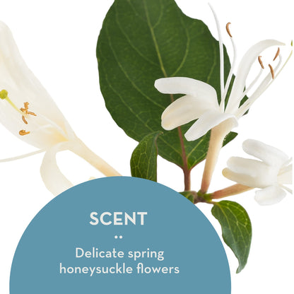 The Organic Skin Co Anti Aging Dream Cream with Vitamin C, Amla Oil & Honeysuckle