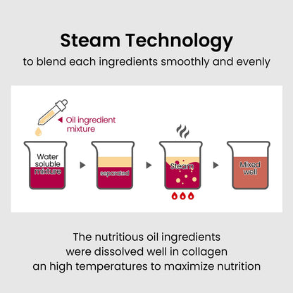 The Skin House Ultra Collagen Steam Cream – Firming Retinol Moisturizer with Niacinamide | 50ml