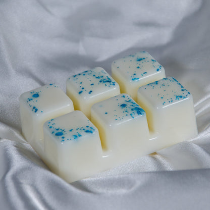 Fairy Dust - Wax Melt Clamshell