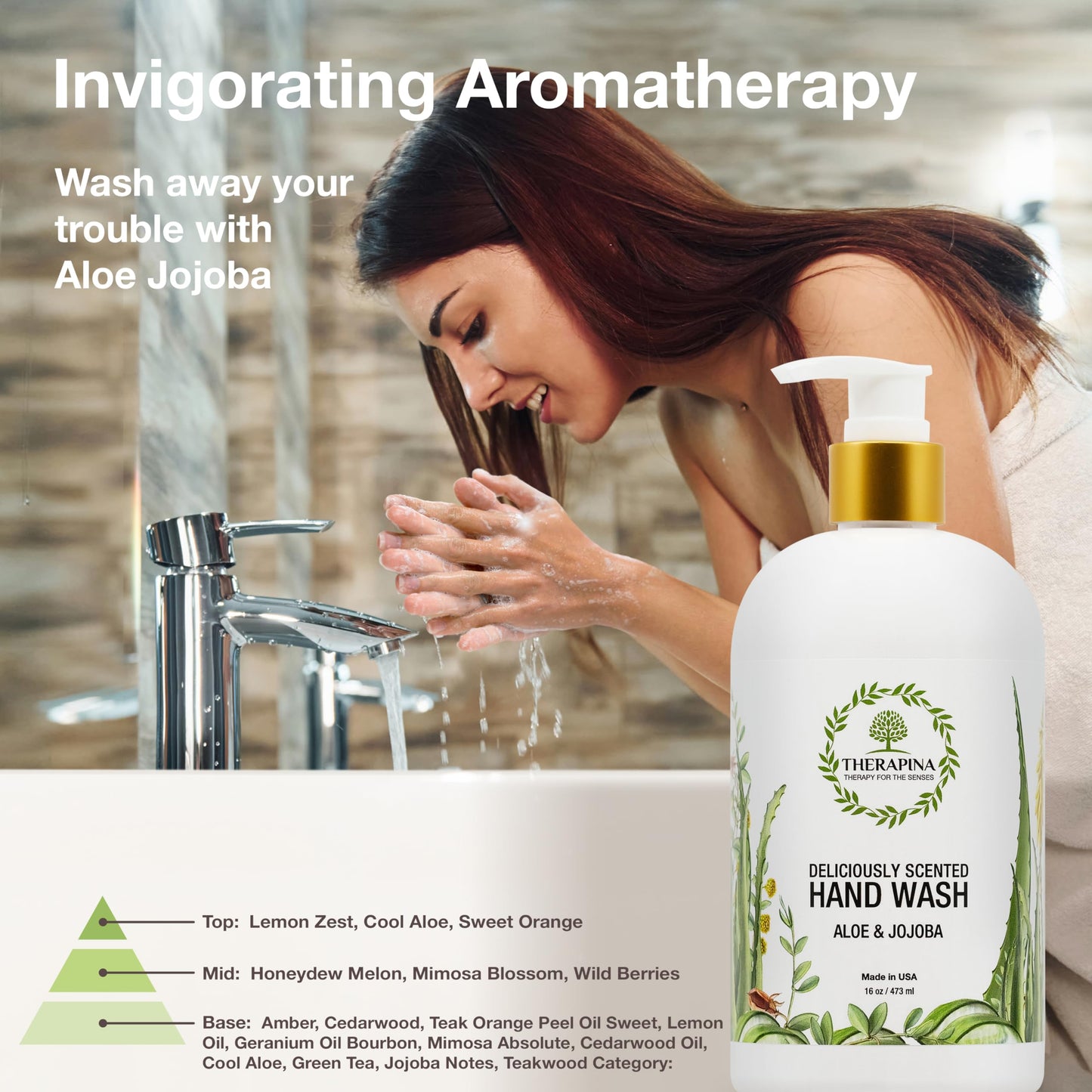 THERAPINA Aromatherapy Luxury Liquid Hand Soap – Vegan Aloe Vera & Botanical Oils (16 oz)