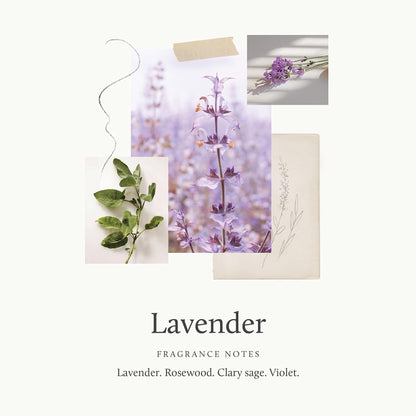 Thymes Lavender Large Hand Wash with Pump – Hydrating Liquid Hand Soap (15 fl oz)