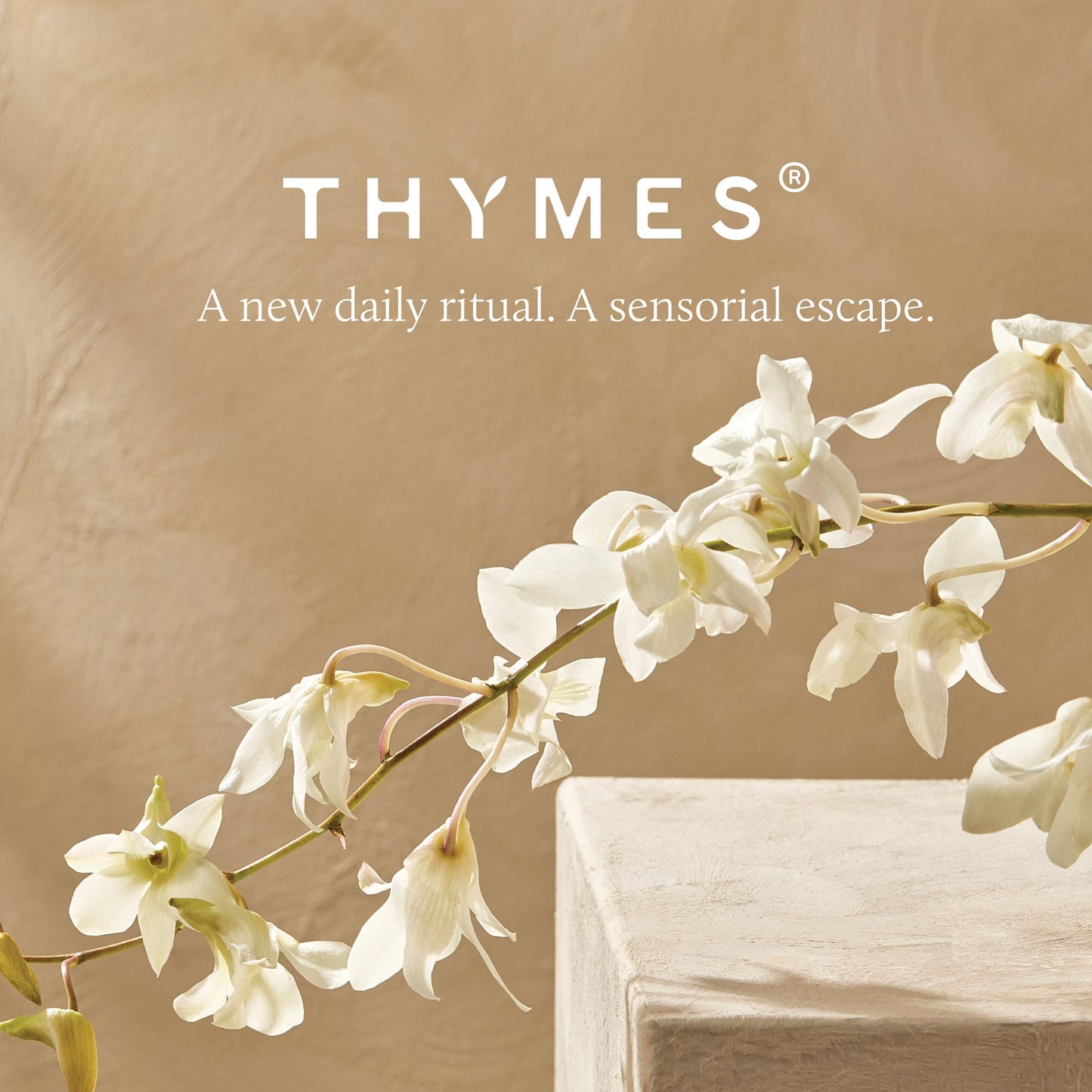 Thymes Nourishing Hand Wash – Spa-Style Liquid Soap with Eucalyptus & Lemongrass (9.4 fl oz)
