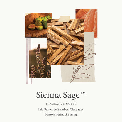 Thymes Sienna Sage Body Scrub | Hydrating Exfoliator for Body, Face, and More