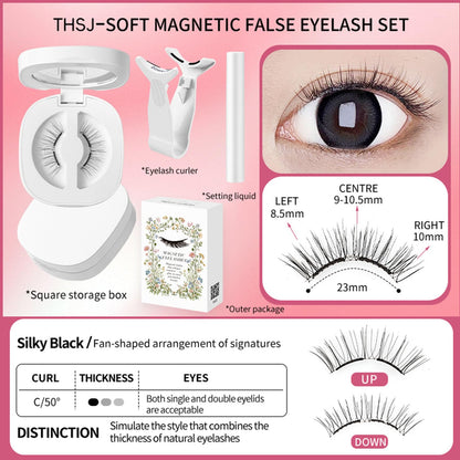 Tiliraiy Magnetic Eyelashes Kit Asian – Reusable, No-Glue Lashes with Applicator and Setting Lotion
