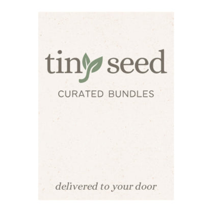 TINY SEED Lip Balm Gift Set | Aloha Coconut 4-Pack + Holder Keychain