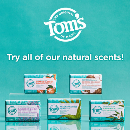 Tom's of Maine Lavender & Shea Natural Beauty Bar Soap – 6-Pack, 5 oz Bars (Packaging May Vary)