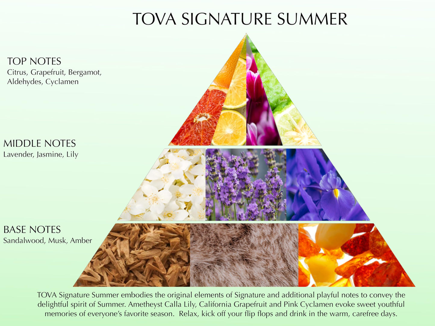 Tova Signature Summer Body Mist – Refreshing Fruity Floral Scent – Grapefruit, Calla Lily, Amethyst | USA-Made & Cruelty-Free – 8 oz