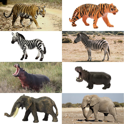 Toymany 14Pcs Tiny Jungle Animal Figures – Realistic Mini Safari Set (1-2 inch)