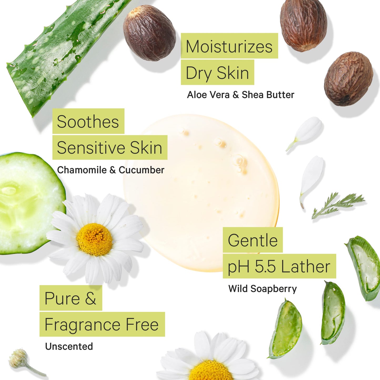 Tree to Tub Unscented Body Wash for Sensitive Skin – Moisturizing, Fragrance-Free & Sulfate-Free