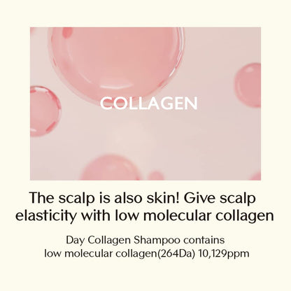 Treecell Day Collagen Shampoo — Volumizing & Hydrating with Low-Molecular Collagen | 12.2 fl oz