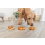 Trixie Dog Donuts