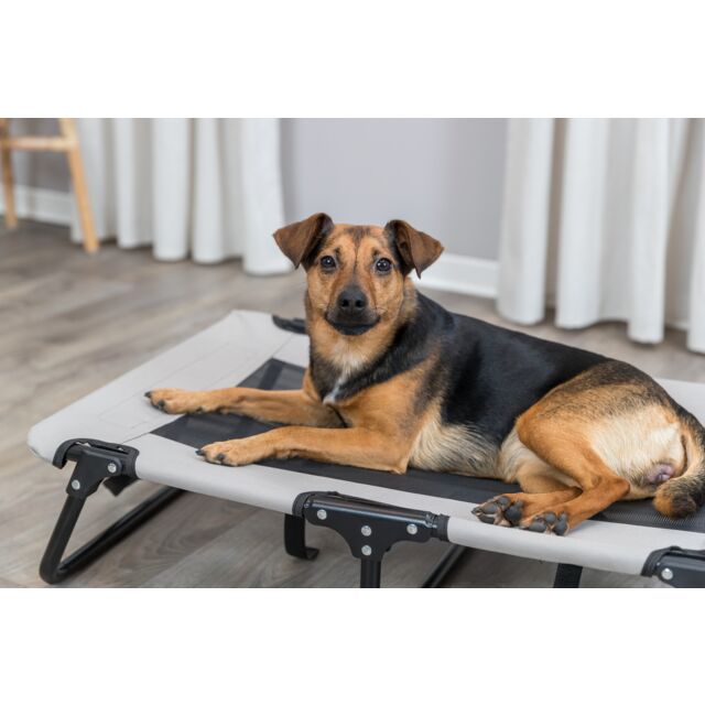 Trixie Pet Outdoor Dog Lounger