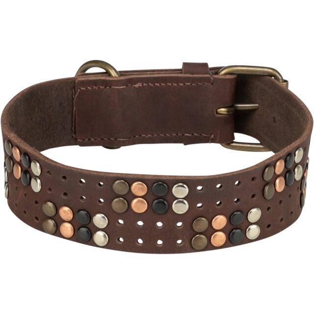 Trixie Rustic Greased leather collar Rivets, extra wide