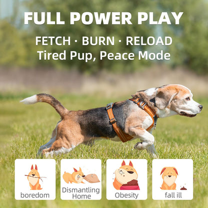 UJQW Automatic Dog Ball Launcher - Silent Thrower with 3 Adjustable Distances (20ft/33ft/46ft) - Rechargeable, Includes 3 Durable 2.3-inch Balls for Small/Medium Dogs (Blue)