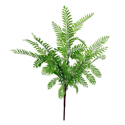 6 x 55cm Himilayan Maidenhair Fern Bush Light Green Plant