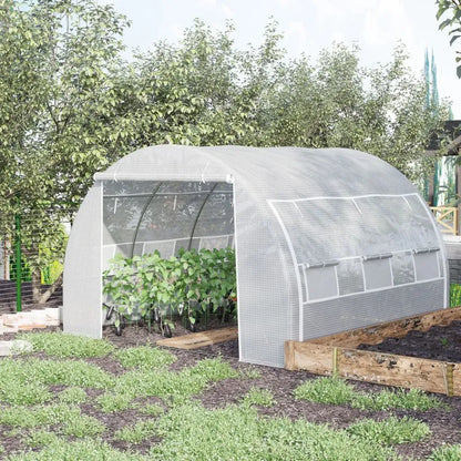 Premium 3x3x2m Polytunnel Greenhouse Tent - Steel Frame - White - High Quality - All Weather - Easy Access - Ventilated