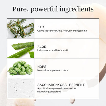 Ursa Major Forest Fix Deodorant – Aluminum-Free, Non-Staining, Cruelty-Free | 2.6 oz