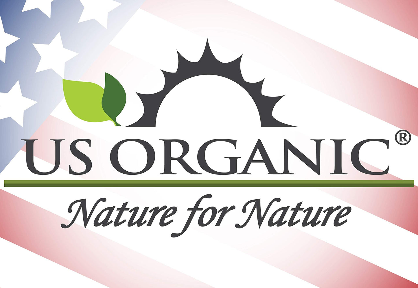 US Organic 100% Pure Bergamot Essential Oil – USDA Organic, Cold-Pressed, 15 ml with Euro Droppers