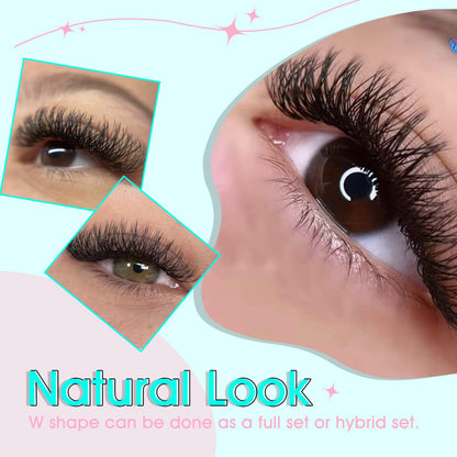 VAVALASH 7D W Shape Eyelash Extensions – Premade Fans, 0.07 D Curl, Matte Black